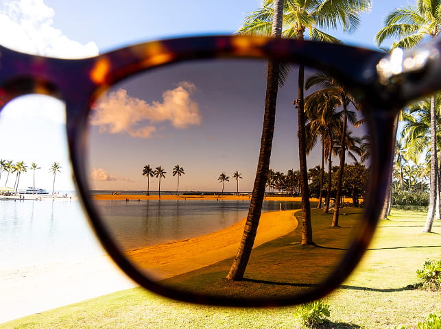 Maui Jim Sunglasses