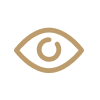 eye icon